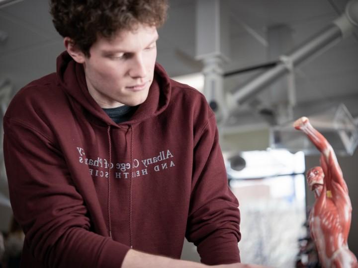 A student studies anatomy in health sciences class